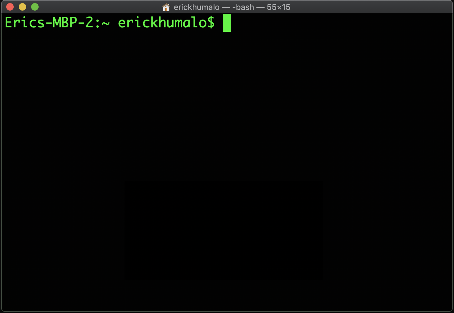 starting the terminal